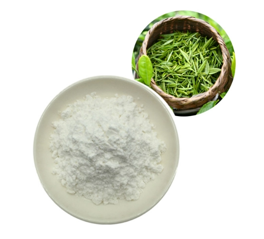 L-Theanine/CAS 3081-61-6/EGCG